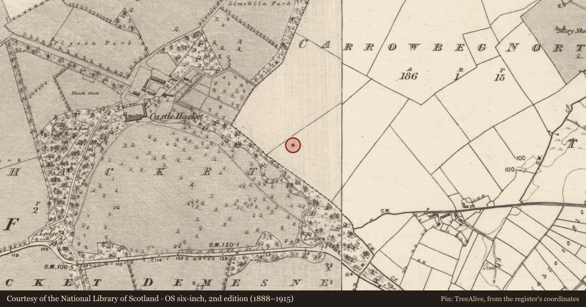 Ordnance Survey six-inch map, 2nd edition (1888–1915) covering the location of Ringfort - cashel, Carrowbeg North, County Galway, with a pin at the register's coordinates