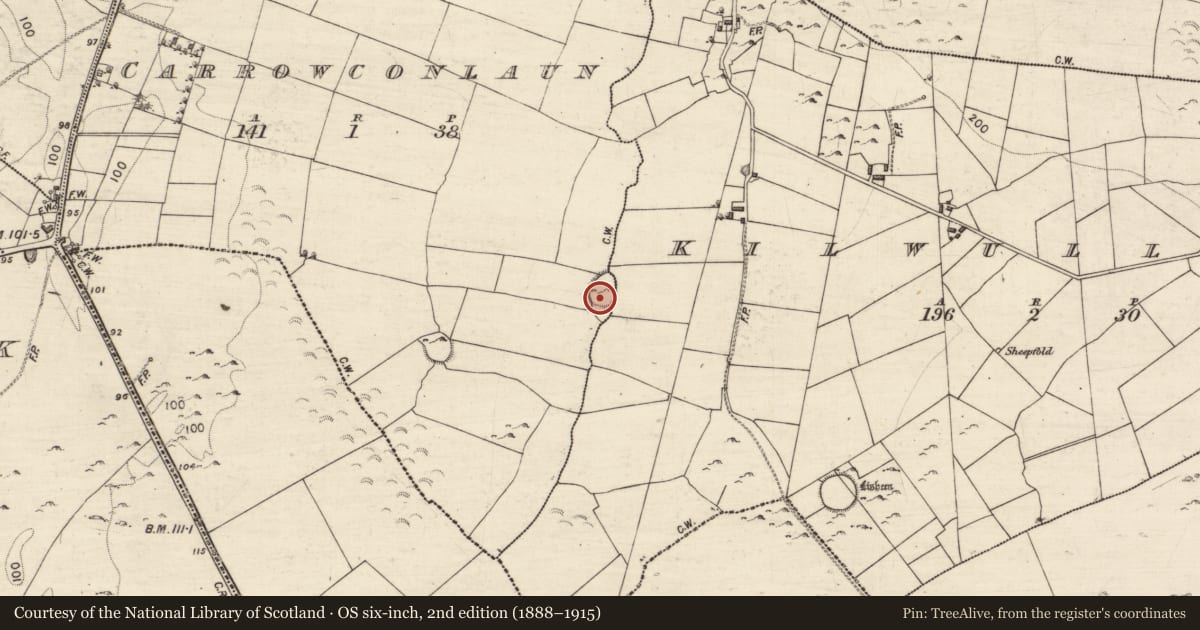 Ordnance Survey six-inch map, 2nd edition (1888–1915) covering the location of Ringfort - cashel, Carrowconlaun, Kilwullaun, County Galway, with a pin at the register's coordinates