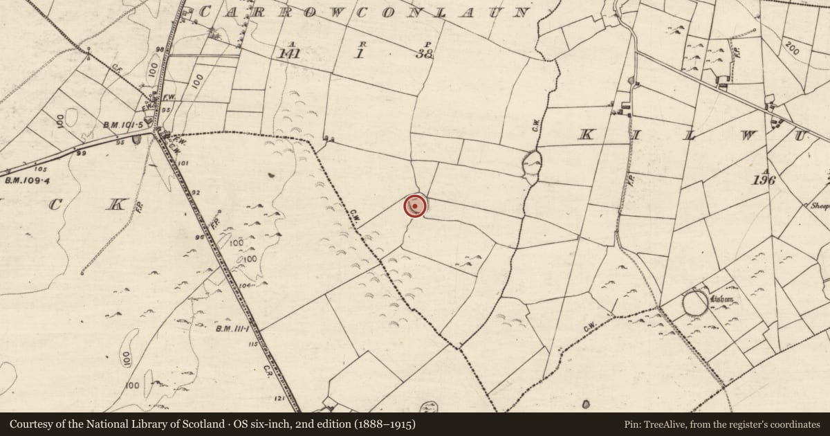 Ordnance Survey six-inch map, 2nd edition (1888–1915) covering the location of Ringfort - cashel, Carrowconlaun, County Galway, with a pin at the register's coordinates