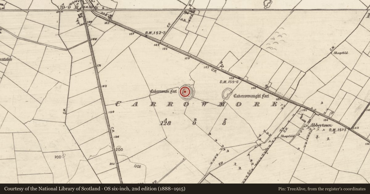 Ordnance Survey six-inch map, 2nd edition (1888–1915) covering the location of Ringfort - rath, Carrowmore, County Galway, with a pin at the register's coordinates