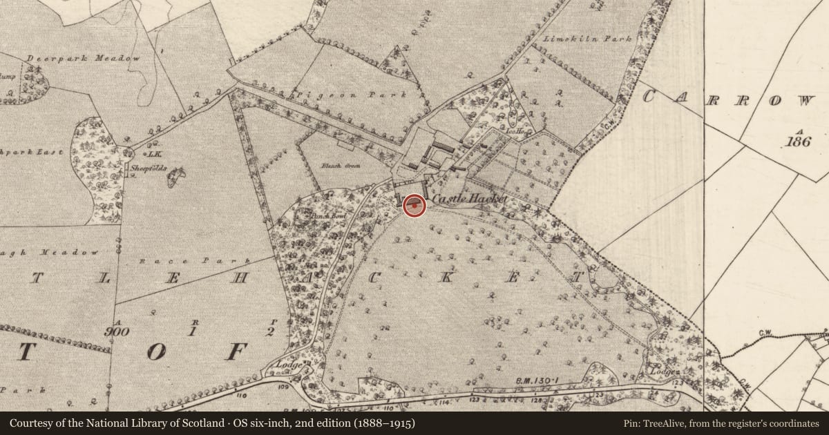 Ordnance Survey six-inch map, 2nd edition (1888–1915) covering the location of Country house, Castlehacket, County Galway, with a pin at the register's coordinates