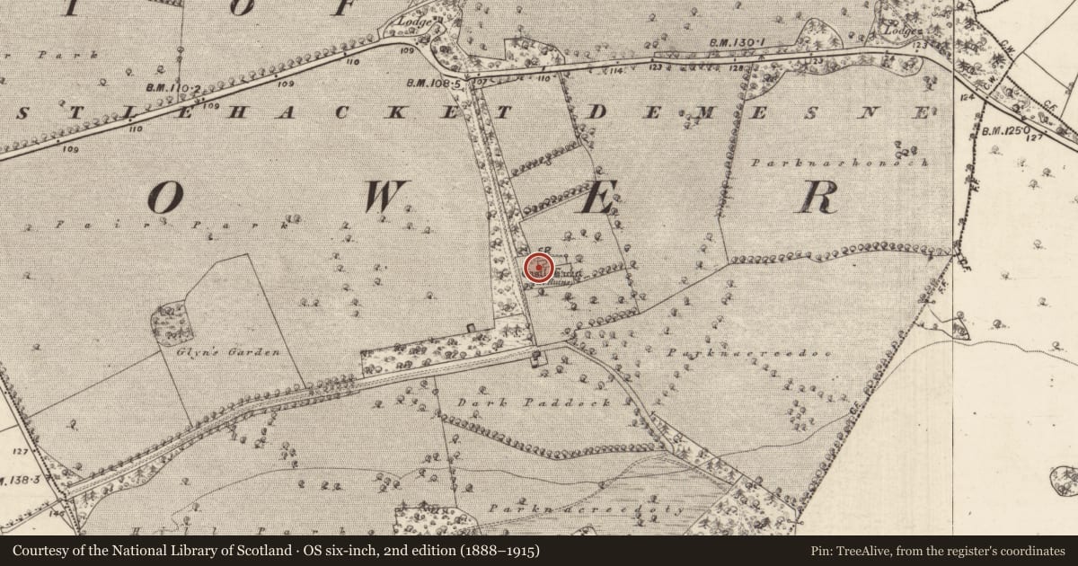 Ordnance Survey six-inch map, 2nd edition (1888–1915) covering the location of Castle - hall-house, Castlehacket, County Galway, with a pin at the register's coordinates