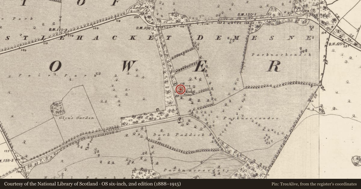 Ordnance Survey six-inch map, 2nd edition (1888–1915) covering the location of Bawn, Castlehacket, County Galway, with a pin at the register's coordinates