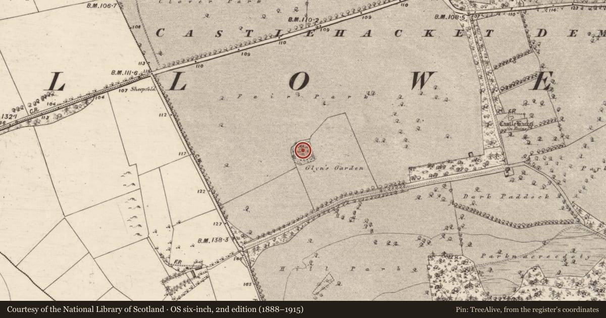 Ordnance Survey six-inch map, 2nd edition (1888–1915) covering the location of Enclosure, Castlehacket, County Galway, with a pin at the register's coordinates