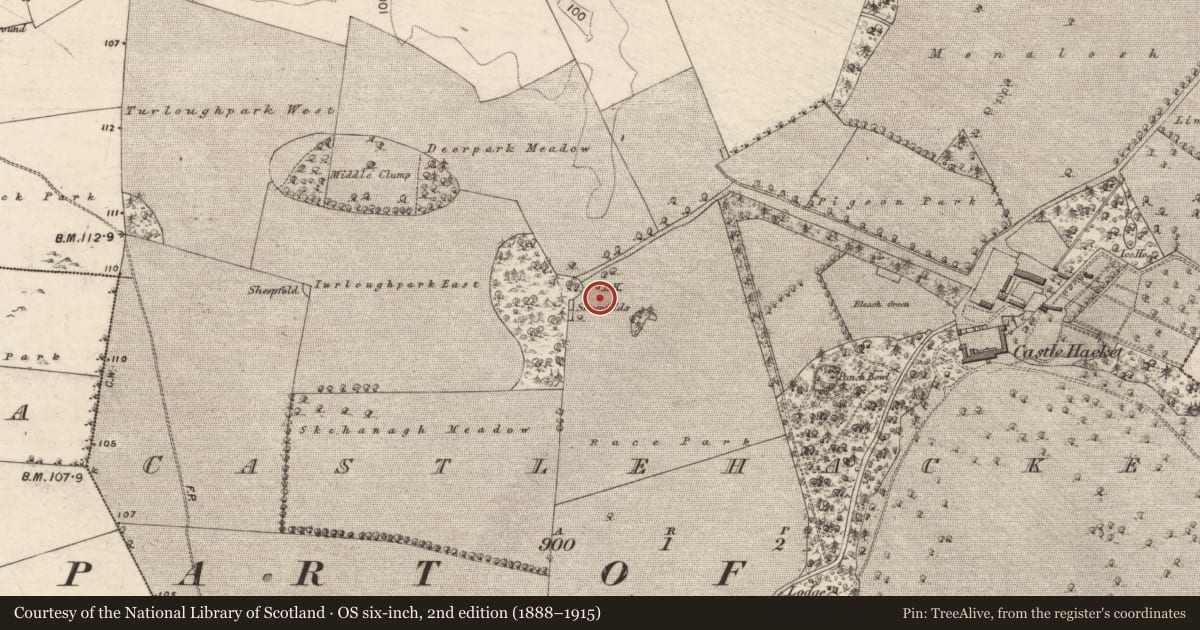 Ordnance Survey six-inch map, 2nd edition (1888–1915) covering the location of Kiln - lime, Castlehacket, County Galway, with a pin at the register's coordinates