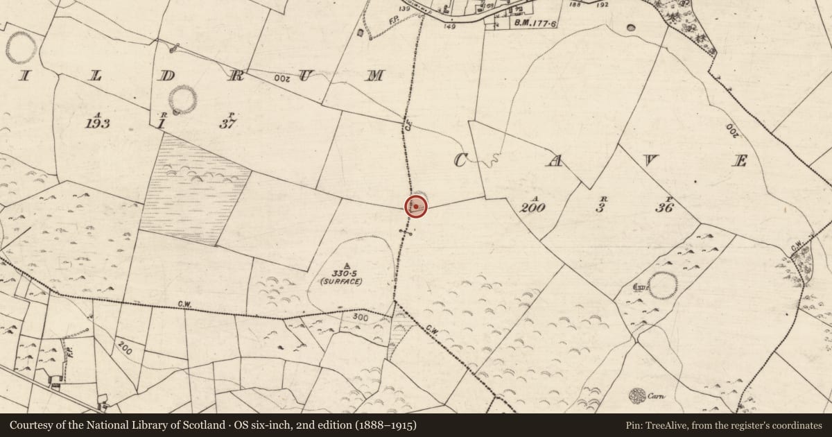 Ordnance Survey six-inch map, 2nd edition (1888–1915) covering the location of Ringfort - rath, Cave, County Galway, with a pin at the register's coordinates