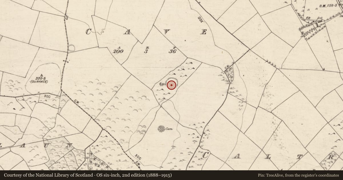Ordnance Survey six-inch map, 2nd edition (1888–1915) covering the location of Ringfort - cashel, Cave, County Galway, with a pin at the register's coordinates
