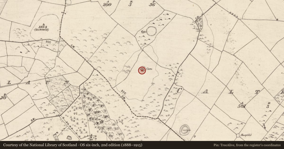 Ordnance Survey six-inch map, 2nd edition (1888–1915) covering the location of Cist, Cave, County Galway, with a pin at the register's coordinates
