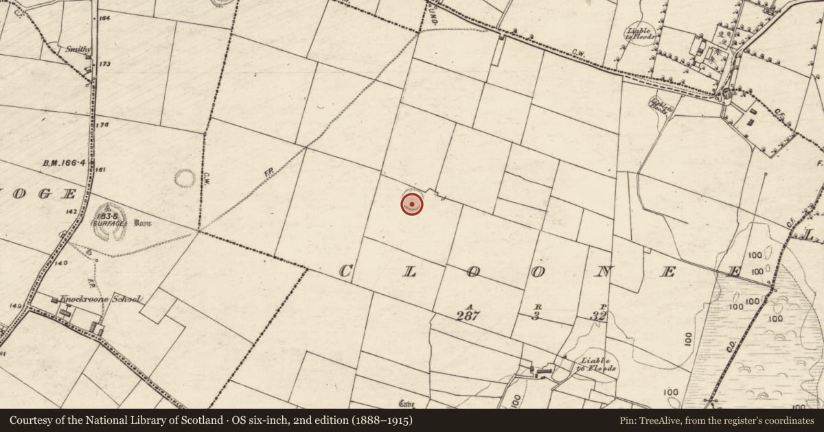 Ordnance Survey six-inch map, 2nd edition (1888–1915) covering the location of Ringfort - rath, Cloonee, County Galway, with a pin at the register's coordinates