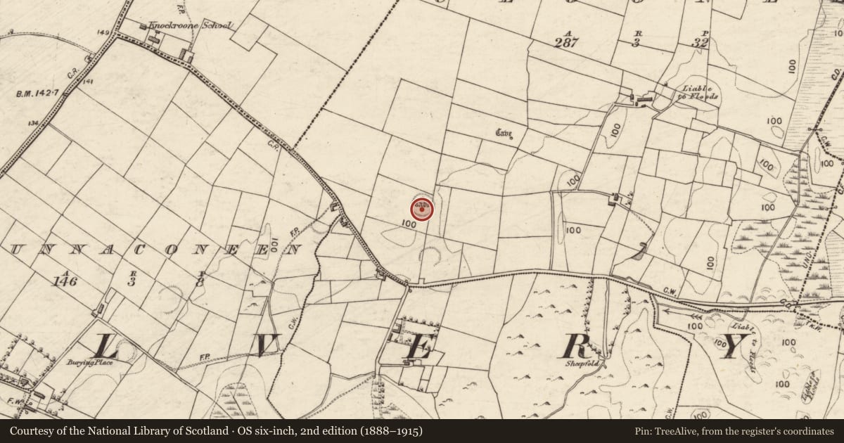 Ordnance Survey six-inch map, 2nd edition (1888–1915) covering the location of Ringfort - rath, Cloonee, County Galway, with a pin at the register's coordinates