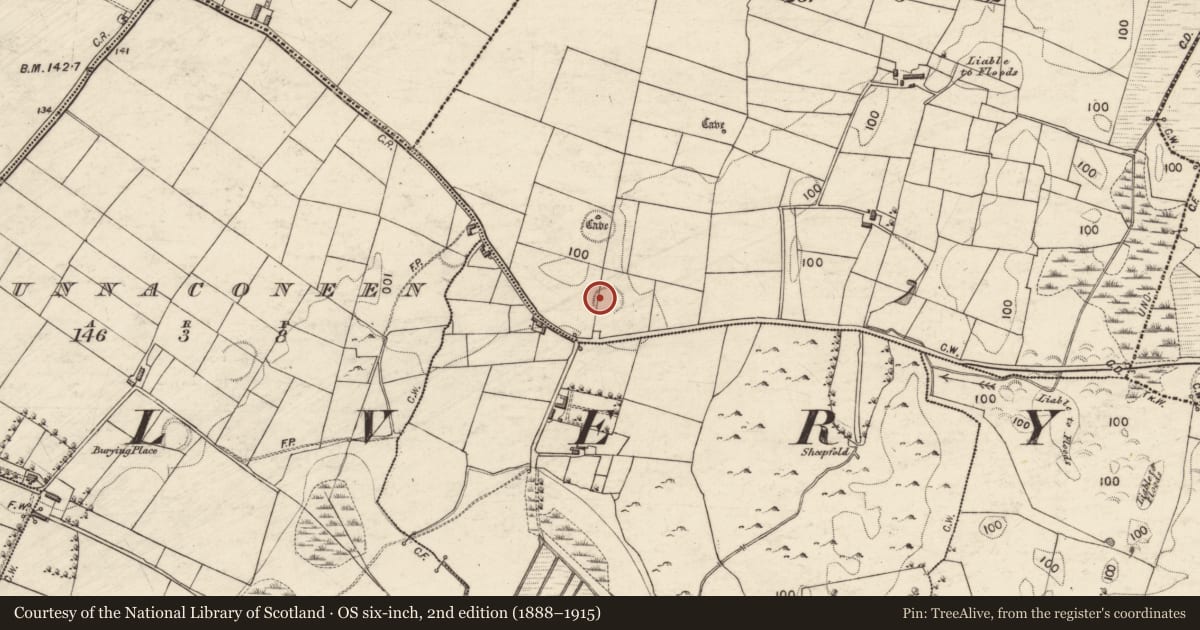 Ordnance Survey six-inch map, 2nd edition (1888–1915) covering the location of Ringfort - unclassified, Cloonee, County Galway, with a pin at the register's coordinates