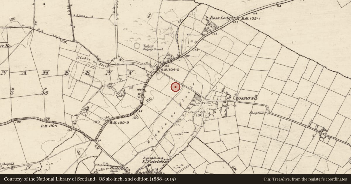 Ordnance Survey six-inch map, 2nd edition (1888–1915) covering the location of Standing stone, Crossursa, County Galway, with a pin at the register's coordinates