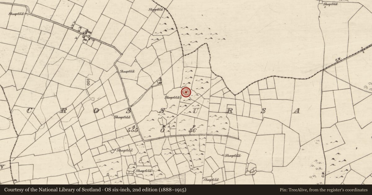 Ordnance Survey six-inch map, 2nd edition (1888–1915) covering the location of Enclosure, Crossursa, County Galway, with a pin at the register's coordinates