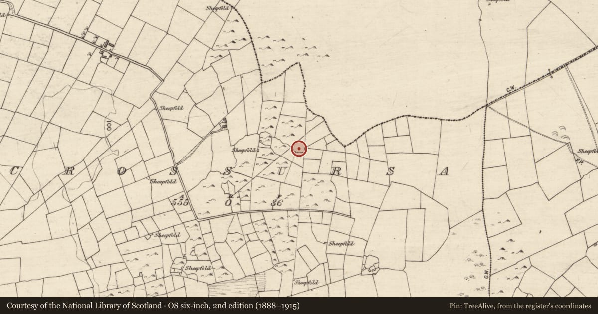 Ordnance Survey six-inch map, 2nd edition (1888–1915) covering the location of Burial, Crossursa, County Galway, with a pin at the register's coordinates