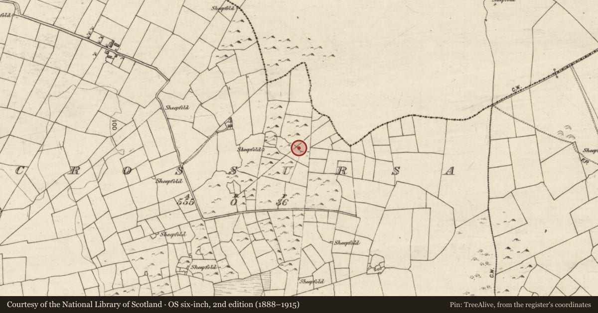 Ordnance Survey six-inch map, 2nd edition (1888–1915) covering the location of Burial (present location), Crossursa, County Galway, with a pin at the register's coordinates