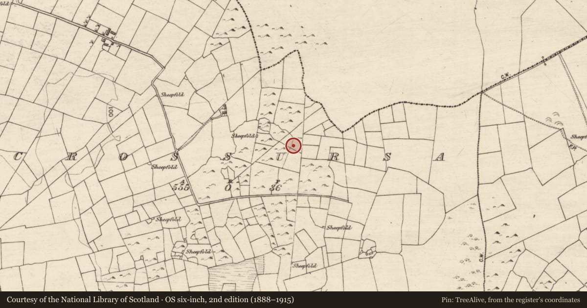 Ordnance Survey six-inch map, 2nd edition (1888–1915) covering the location of House - indeterminate date, Crossursa, County Galway, with a pin at the register's coordinates