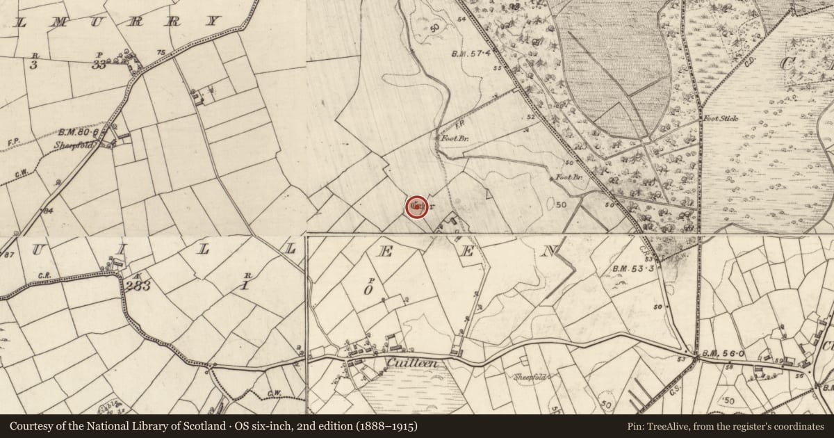 Ordnance Survey six-inch map, 2nd edition (1888–1915) covering the location of Ringfort - cashel, Cuilleen, County Galway, with a pin at the register's coordinates