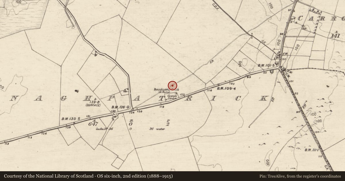 Ordnance Survey six-inch map, 2nd edition (1888–1915) covering the location of Road - road/trackway, Donaghpatrick, County Galway, with a pin at the register's coordinates