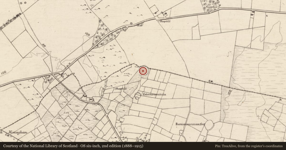 Ordnance Survey six-inch map, 2nd edition (1888–1915) covering the location of Ringfort - cashel, Fearagha, Pollnahallia, County Galway, with a pin at the register's coordinates