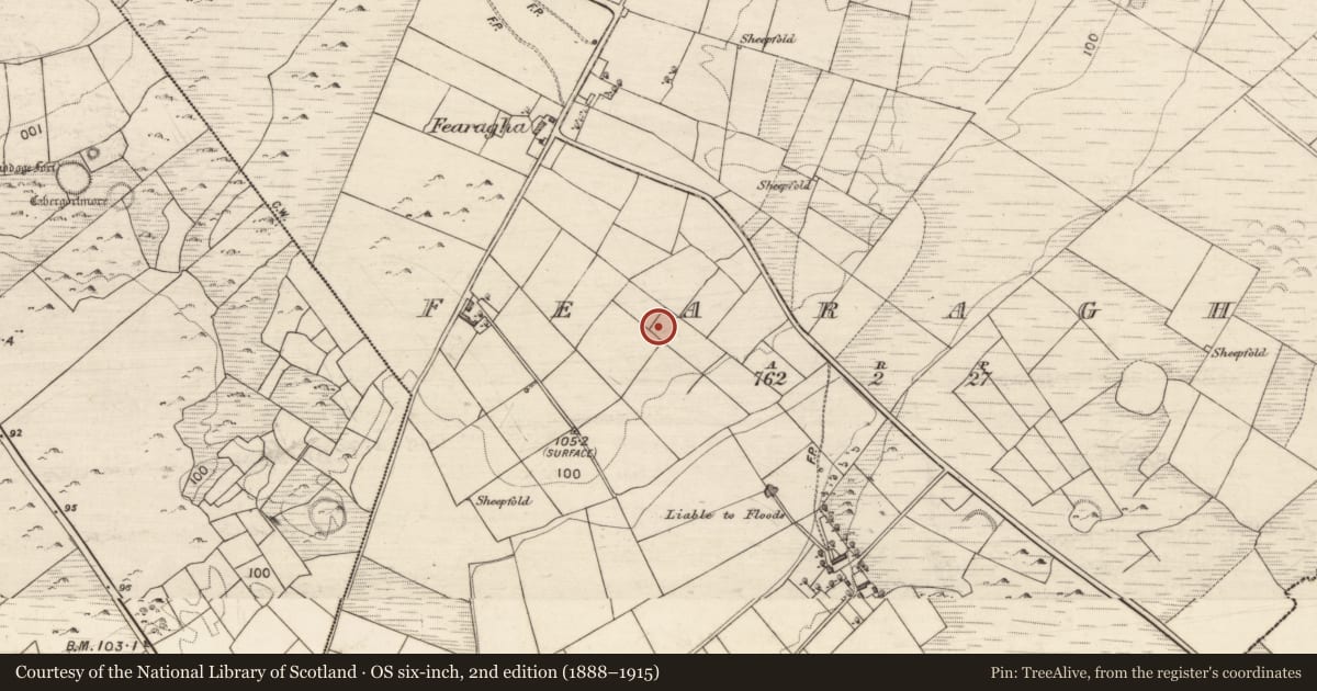 Ordnance Survey six-inch map, 2nd edition (1888–1915) covering the location of Ringfort - cashel, Fearagha, County Galway, with a pin at the register's coordinates