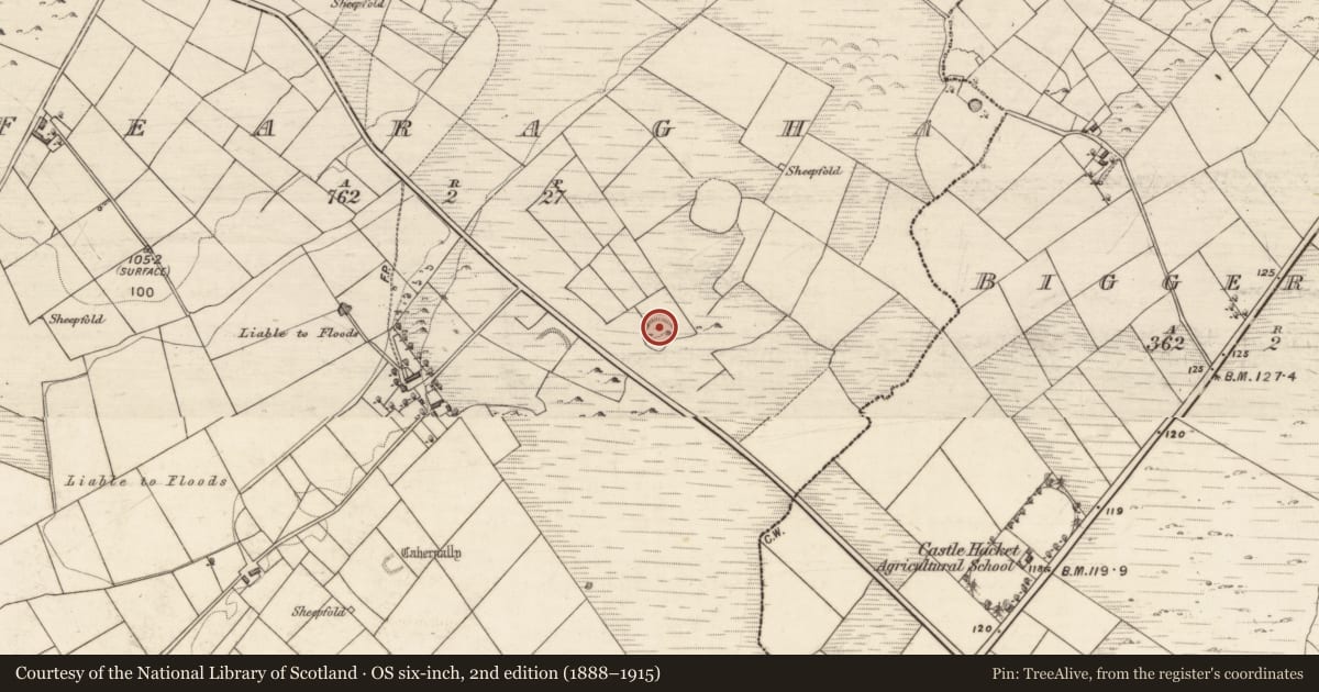 Ordnance Survey six-inch map, 2nd edition (1888–1915) covering the location of Ringfort - unclassified, Fearagha, County Galway, with a pin at the register's coordinates