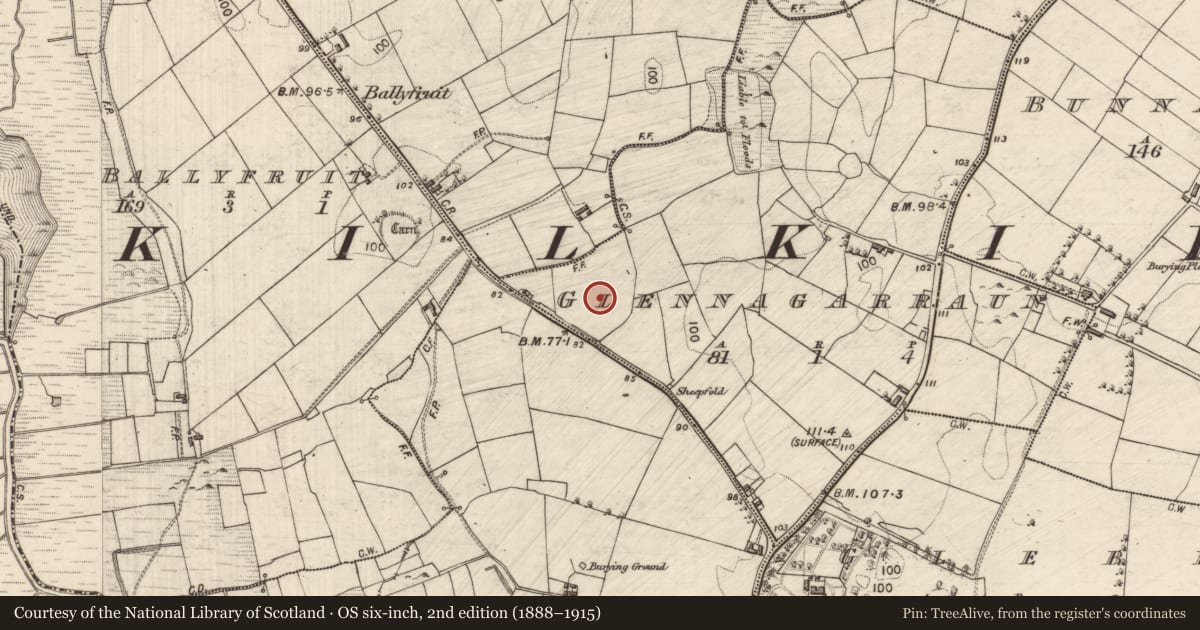 Ordnance Survey six-inch map, 2nd edition (1888–1915) covering the location of Ringfort - rath, Glennagarraun, County Galway, with a pin at the register's coordinates