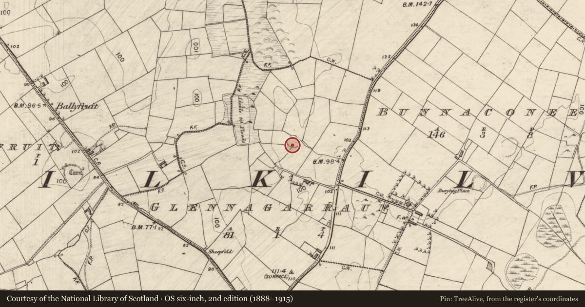 Ordnance Survey six-inch map, 2nd edition (1888–1915) covering the location of Ringfort - cashel, Glennagarraun, County Galway, with a pin at the register's coordinates