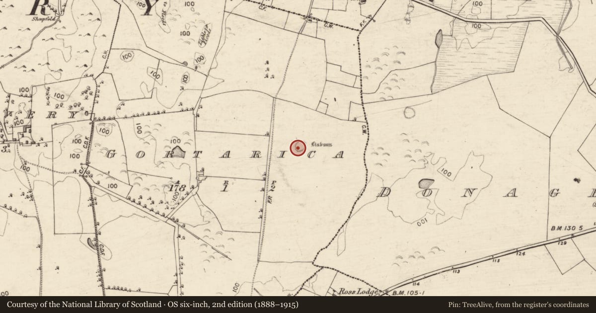 Ordnance Survey six-inch map, 2nd edition (1888–1915) covering the location of Ringfort - rath, Gortarica, County Galway, with a pin at the register's coordinates