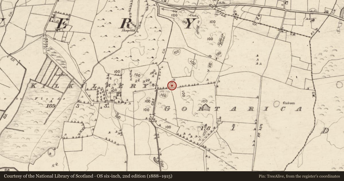 Ordnance Survey six-inch map, 2nd edition (1888–1915) covering the location of Designed landscape - tree-ring, Gortarica, County Galway, with a pin at the register's coordinates