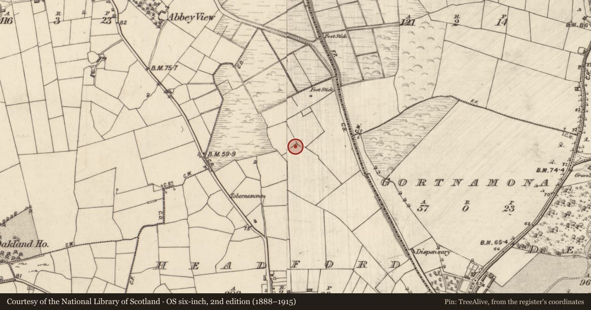 Ordnance Survey six-inch map, 2nd edition (1888–1915) covering the location of Windmill, Headford, County Galway, with a pin at the register's coordinates