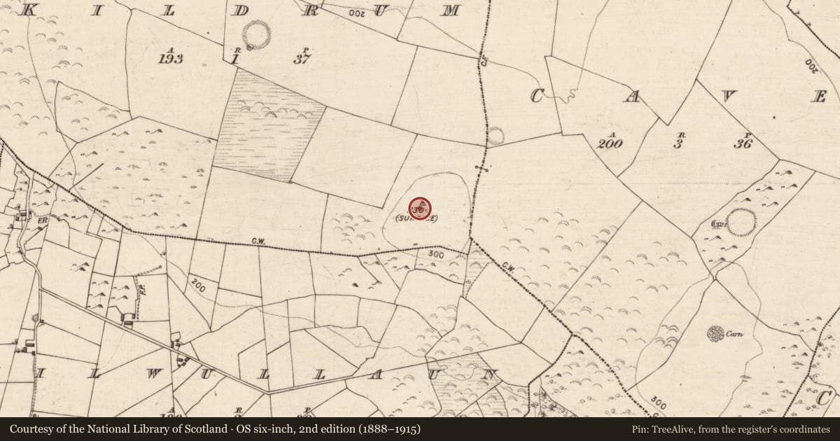 Ordnance Survey six-inch map, 2nd edition (1888–1915) covering the location of Cairn - burial cairn, Kildrum, County Galway, with a pin at the register's coordinates