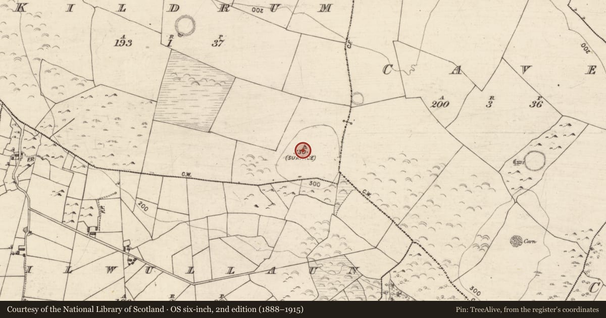 Ordnance Survey six-inch map, 2nd edition (1888–1915) covering the location of Burial, Kildrum, County Galway, with a pin at the register's coordinates