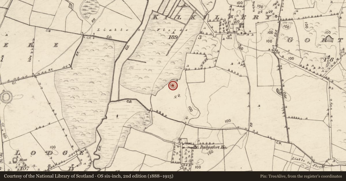 Ordnance Survey six-inch map, 2nd edition (1888–1915) covering the location of Ringfort - rath, Kilkilvery, County Galway, with a pin at the register's coordinates