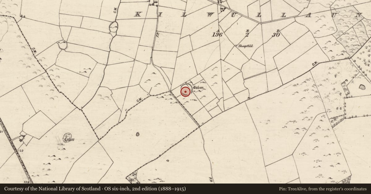 Ordnance Survey six-inch map, 2nd edition (1888–1915) covering the location of Ringfort - cashel, Kilwullaun, County Galway, with a pin at the register's coordinates