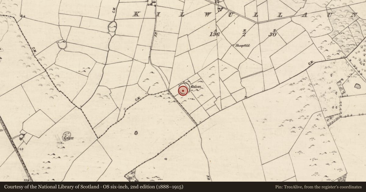 Ordnance Survey six-inch map, 2nd edition (1888–1915) covering the location of House - indeterminate date, Kilwullaun, County Galway, with a pin at the register's coordinates