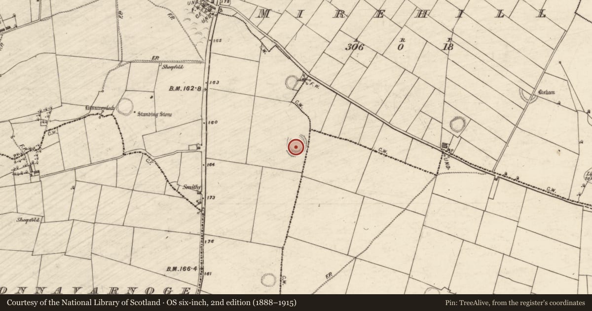 Ordnance Survey six-inch map, 2nd edition (1888–1915) covering the location of Ringfort - rath, Largan, County Galway, with a pin at the register's coordinates