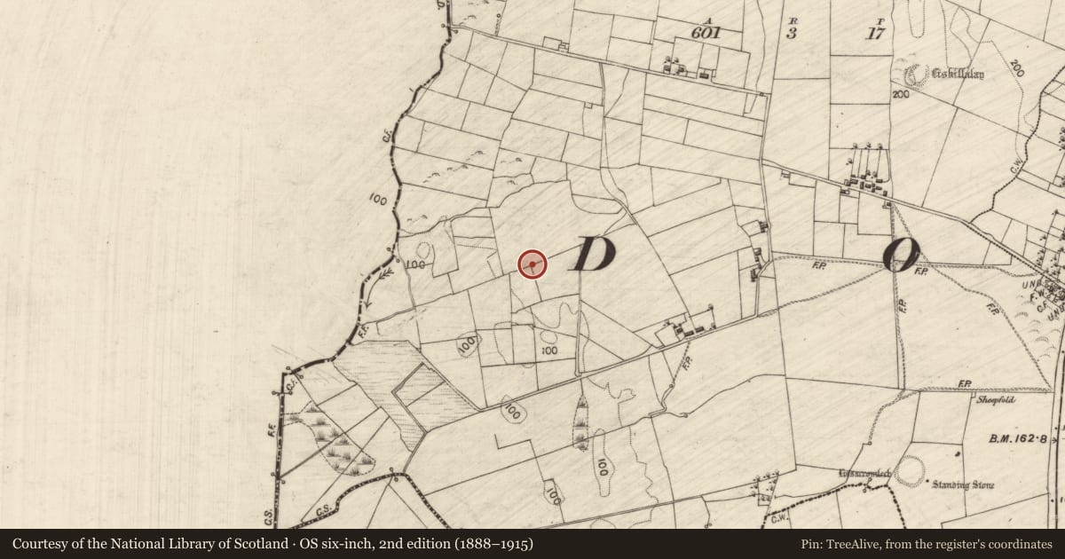 Ordnance Survey six-inch map, 2nd edition (1888–1915) covering the location of Ringfort - rath, Largan, County Galway, with a pin at the register's coordinates