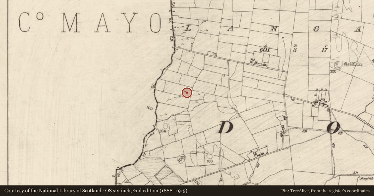 Ordnance Survey six-inch map, 2nd edition (1888–1915) covering the location of Souterrain, Largan, County Galway, with a pin at the register's coordinates