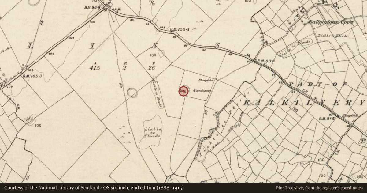 Ordnance Survey six-inch map, 2nd edition (1888–1915) covering the location of Ringfort - unclassified, Liss, County Galway, with a pin at the register's coordinates