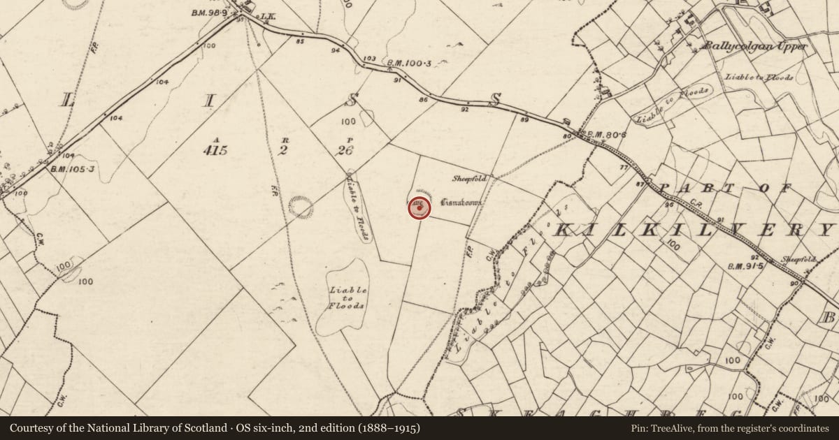 Ordnance Survey six-inch map, 2nd edition (1888–1915) covering the location of Souterrain, Liss, County Galway, with a pin at the register's coordinates