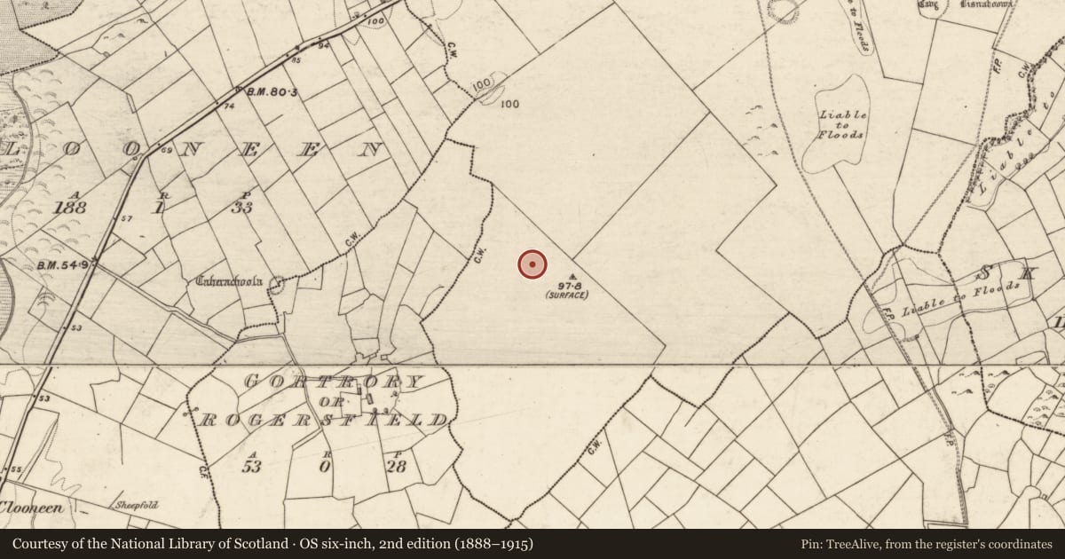 Ordnance Survey six-inch map, 2nd edition (1888–1915) covering the location of Enclosure, Liss, County Galway, with a pin at the register's coordinates