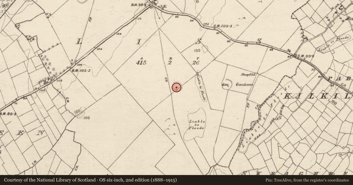 Ordnance Survey six-inch map, 2nd edition (1888–1915) covering the location of Ringfort - cashel, Liss, County Galway, with a pin at the register's coordinates