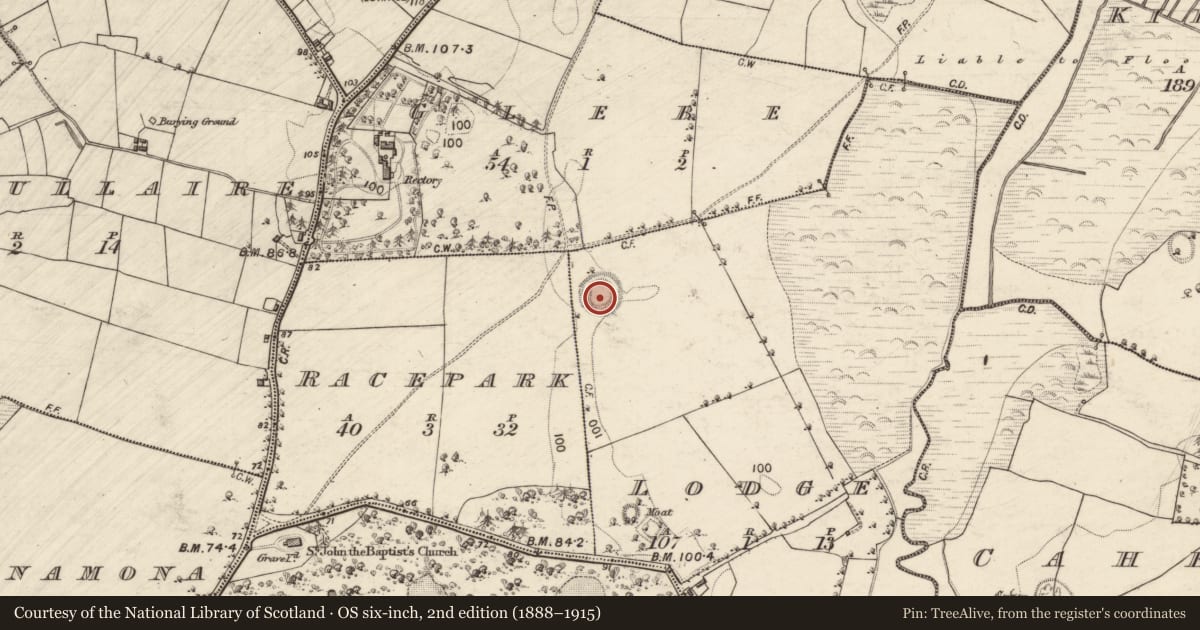 Ordnance Survey six-inch map, 2nd edition (1888–1915) covering the location of Children's burial ground, Lodge, County Galway, with a pin at the register's coordinates