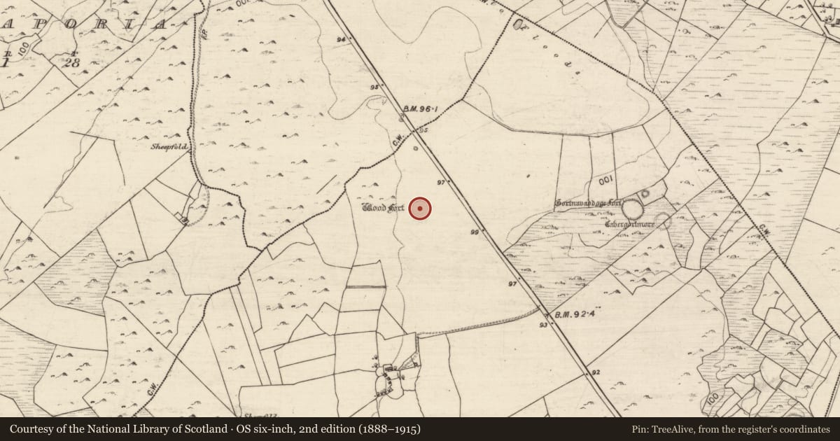 Ordnance Survey six-inch map, 2nd edition (1888–1915) covering the location of Ringfort - rath, Manuslynn, County Galway, with a pin at the register's coordinates
