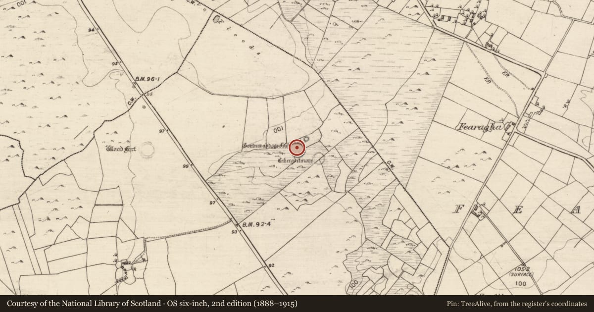 Ordnance Survey six-inch map, 2nd edition (1888–1915) covering the location of Ringfort - cashel, Manuslynn, County Galway, with a pin at the register's coordinates
