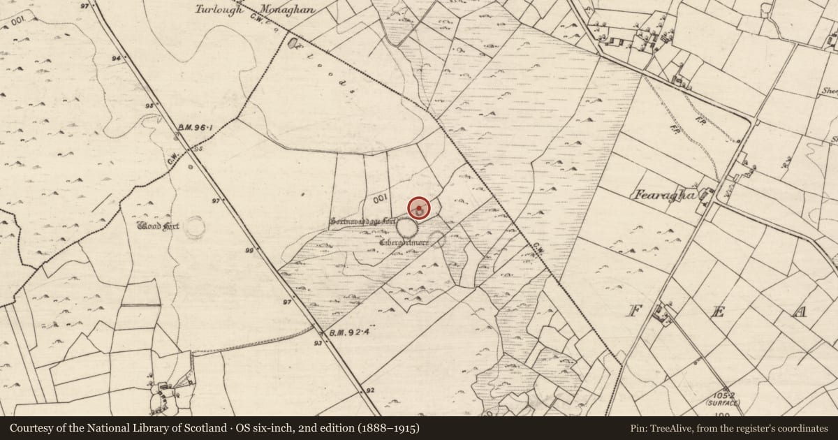 Ordnance Survey six-inch map, 2nd edition (1888–1915) covering the location of Cairn - unclassified, Manuslynn, County Galway, with a pin at the register's coordinates