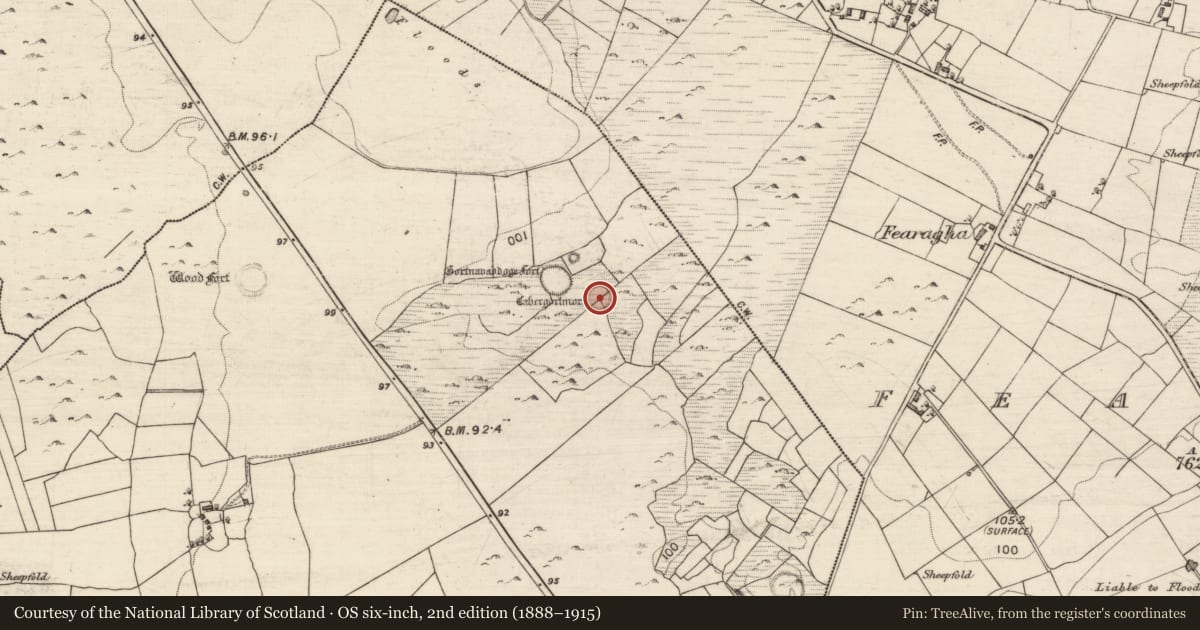 Ordnance Survey six-inch map, 2nd edition (1888–1915) covering the location of Ringfort - cashel, Manuslynn, County Galway, with a pin at the register's coordinates
