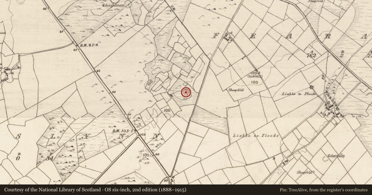 Ordnance Survey six-inch map, 2nd edition (1888–1915) covering the location of Ringfort - cashel, Manuslynn, County Galway, with a pin at the register's coordinates