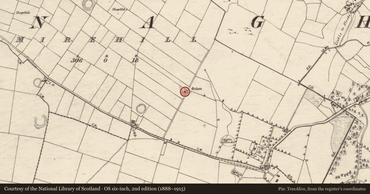 Ordnance Survey six-inch map, 2nd edition (1888–1915) covering the location of Enclosure, Mirehill, County Galway, with a pin at the register's coordinates