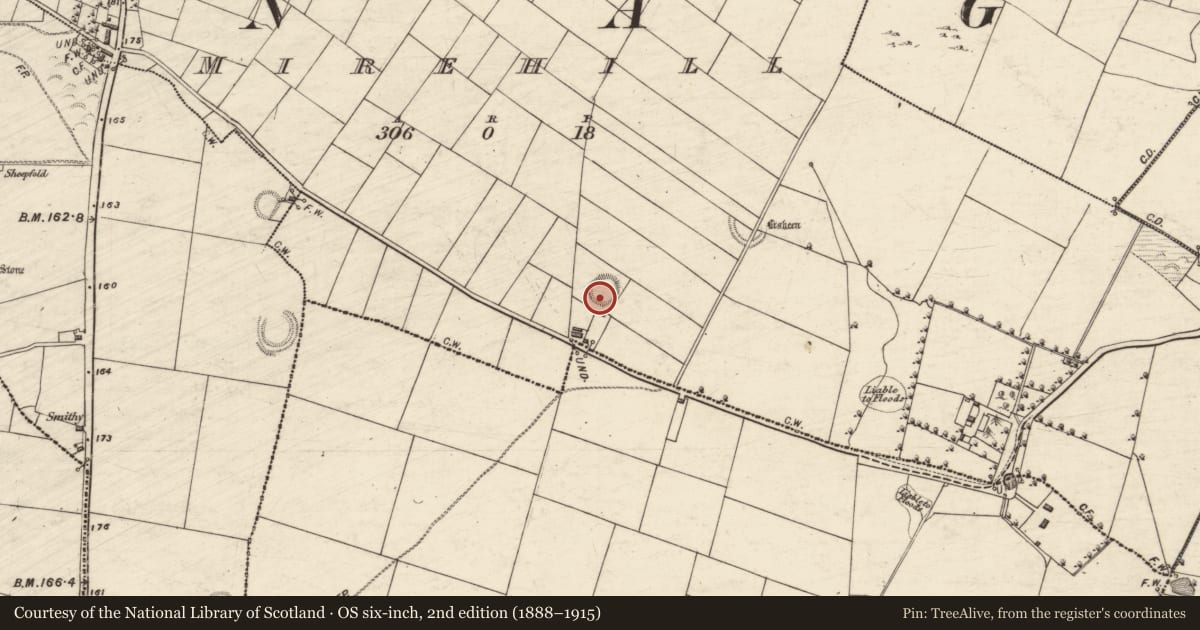 Ordnance Survey six-inch map, 2nd edition (1888–1915) covering the location of Ringfort - rath, Mirehill, County Galway, with a pin at the register's coordinates